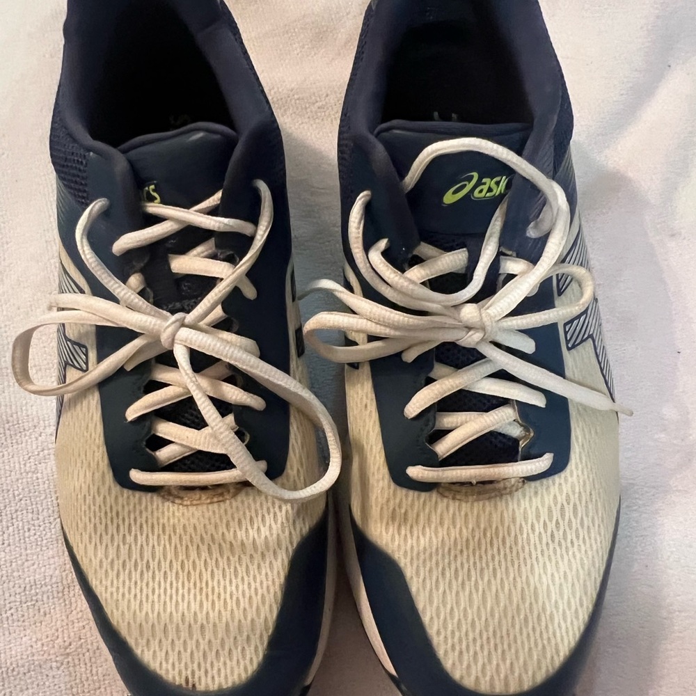Asics Men's Blue and Cream Athletic Shoes